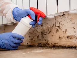 Best Industrial Mold Remediation in Guin, AL